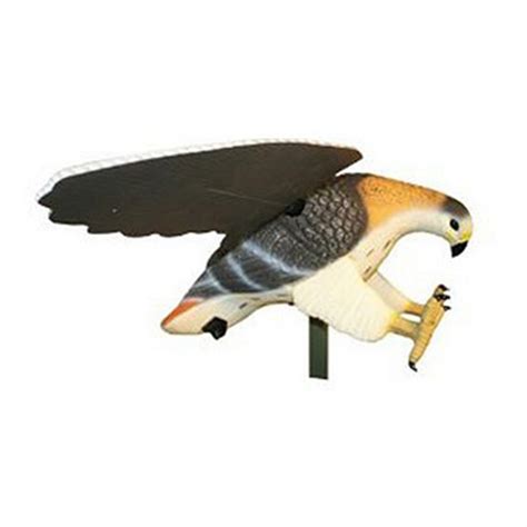 Decoys For Hawks