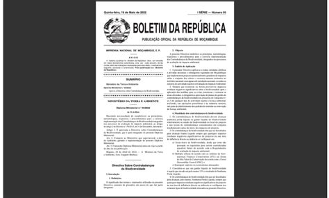 decreto 53/2021 de 29 de julho