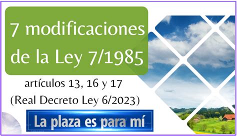 decreto ley 6 2023