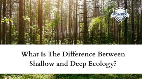 deep ecology and shallow ecology difference