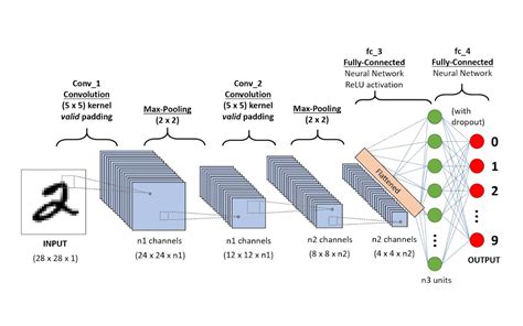 deep learning basics and convolutional neural networks