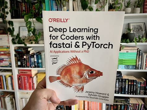 deep learning for coders with fastai and pytorch review