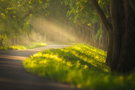 deep of field photography