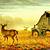 deer country wallpaper