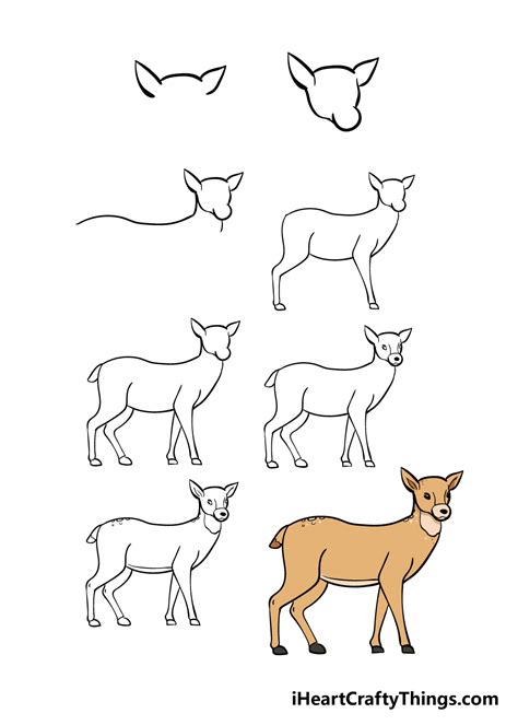 Learn How To Draw A Deer 1º Easy and fast drawing