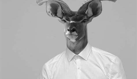 deer head | animal head/human body | Pinterest | The o'jays, Deer and