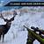 deer hunting games unblocked