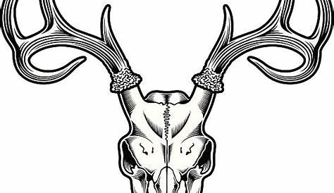 Royalty Free Deer Skull Clip Art, Vector Images & Illustrations - iStock