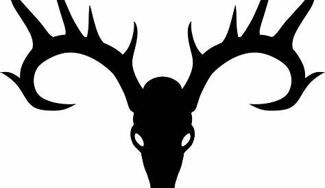 Download Deer Skull Drawing - Full Size PNG Image - PNGkit