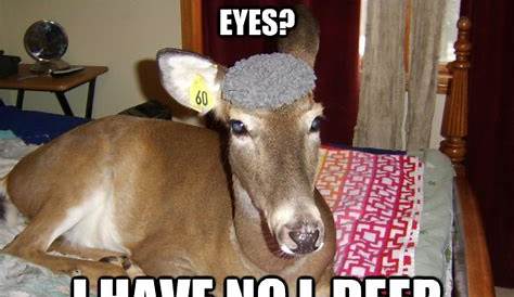 No eye deer! | No eye deer, Deer, Doodles