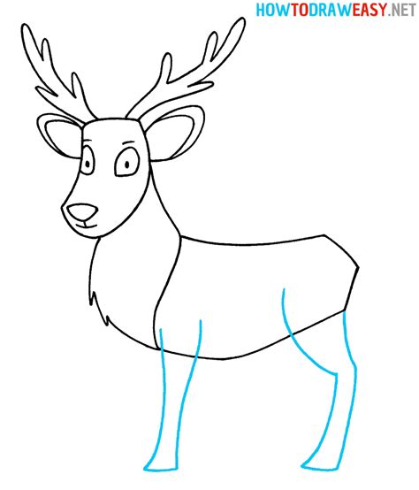 deer draw