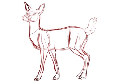 deer drawing base