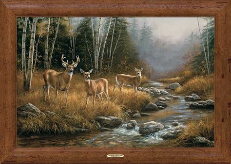 Deer Framed Art
