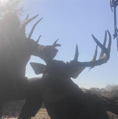 Deer Processing Eleva Wi