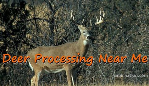 Find Your Local Venison Partner: Expert Deer Processor Near Me