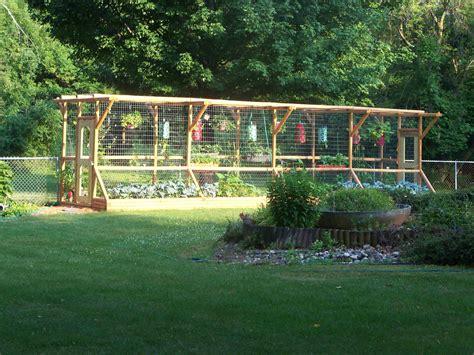 home.furnitureanddecorny.com:deer proof fence for vegetable garden