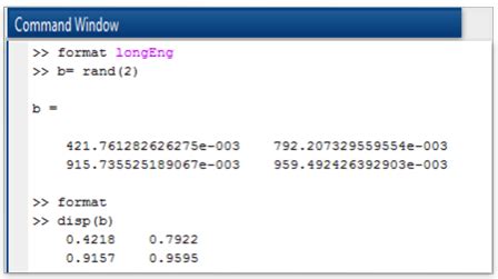 default number format in matlab