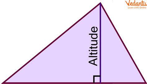 Define Altitude Of Triangle In Math