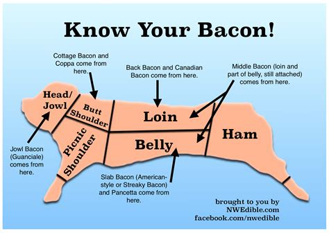 Define Bacon Home