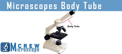 define body tube microscope
