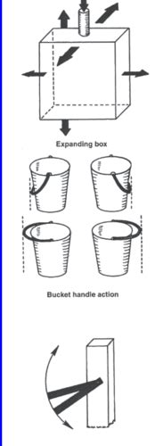 Define Bucket Handle Effect