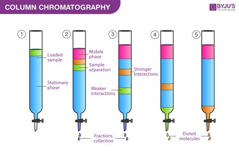 Define Chromatography Used