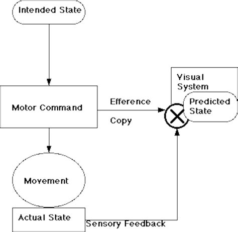 Define Comparator Theory