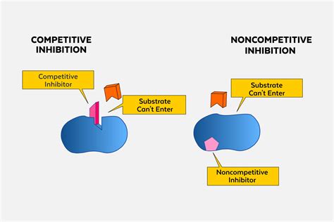 define competitive and noncompetitive enzyme inhibition with example