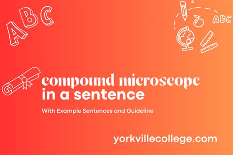 Define Compound Microscope In A Sentence