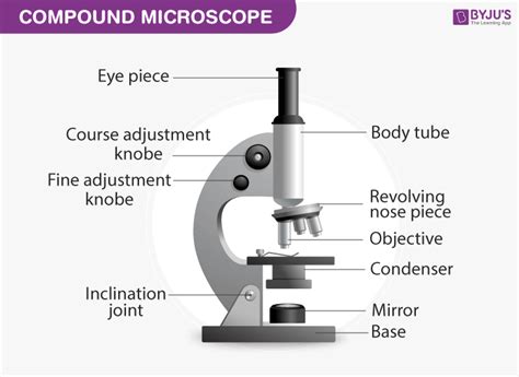 Define Compound Microscope In Your Own Words
