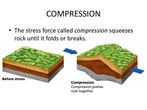 Define Compression In Earth Science