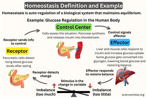 Define Control In Biology