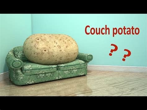 Define Couch Spud