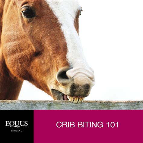Define Crib-Biting