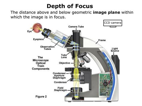 define depth of focus in microscope