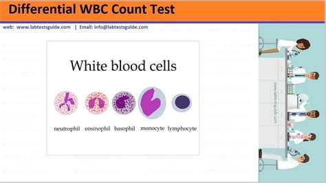 Define Differential White Blood Count