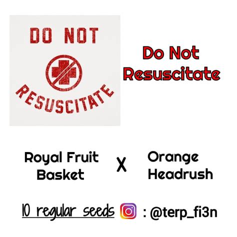 Define Do Not Resuscitate Synonym