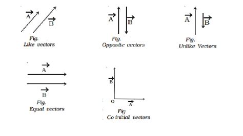 define equal vector in physics class 11