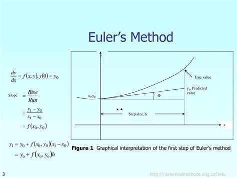 define euler's method