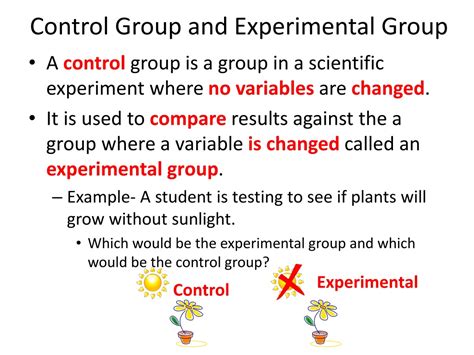 define experimental group in scientific method