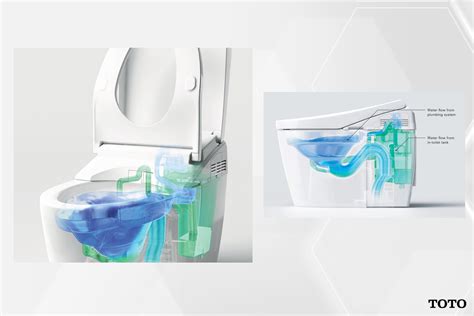 Define Flush Ecology