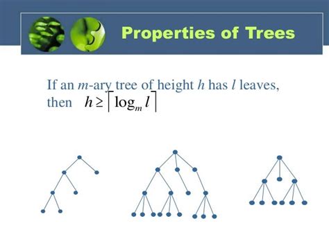 define height of tree in discrete mathematics