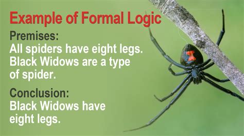 Define Logic And Examples
