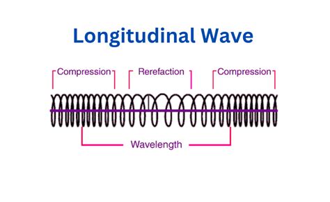 define longitudinal