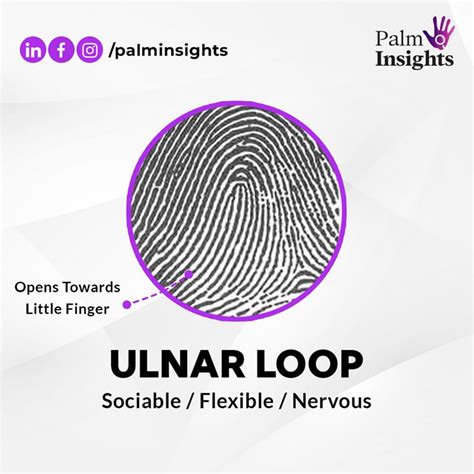 define loop fingerprint