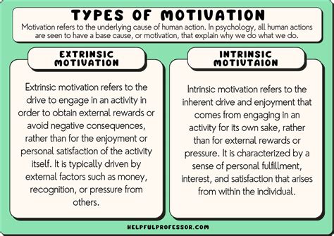 define motivation and types