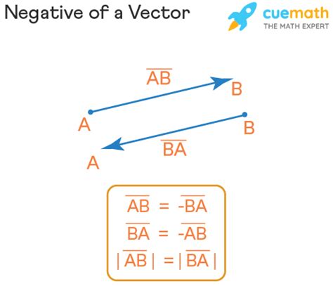 define negative vector in physics class 11