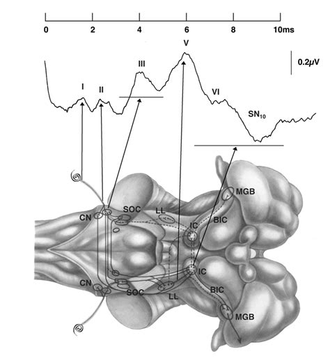 Define Neural Generators