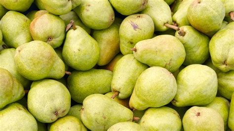Define Pear Fruits