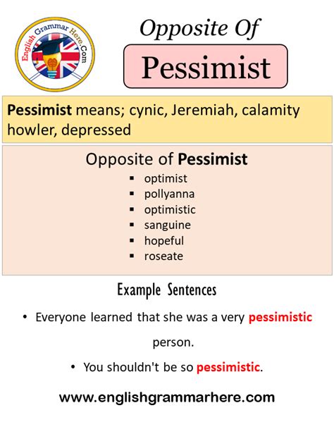 define pessimistic antonym